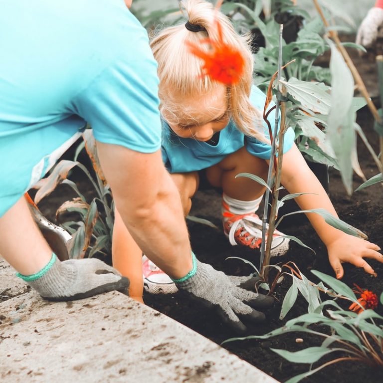 girl in blue top planting outdoors